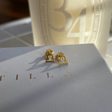 Mini Zodiac Earring