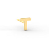 Initial Earring