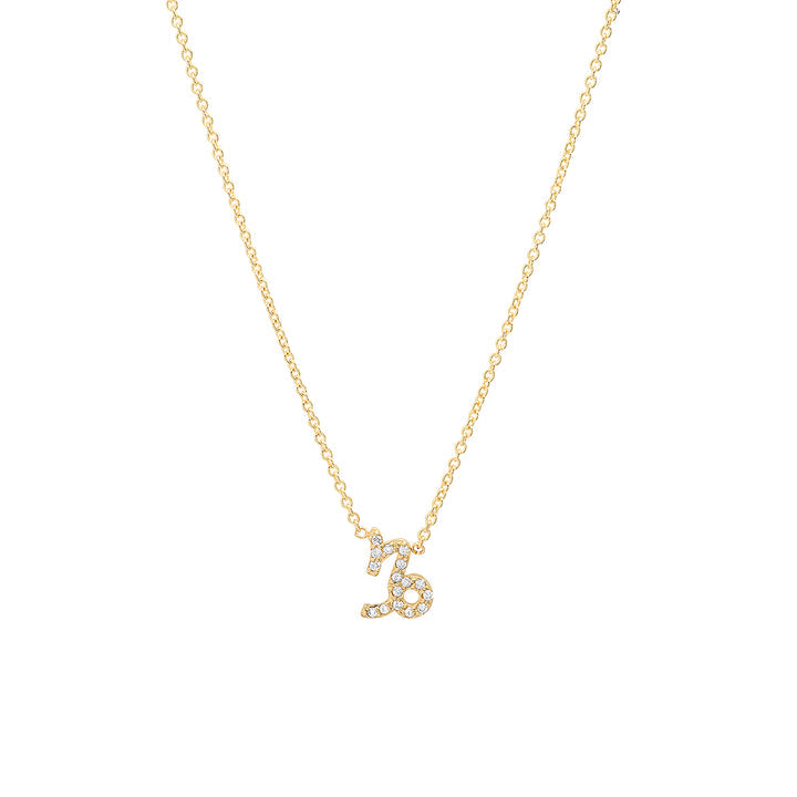Mini Pave Zodiac Necklace